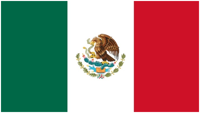 Mexico flag large