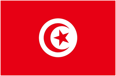 Tunisia flag large