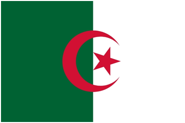 Algeria flag large