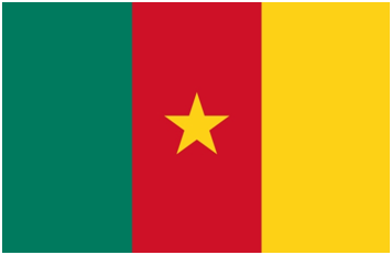 Cameroon flag large