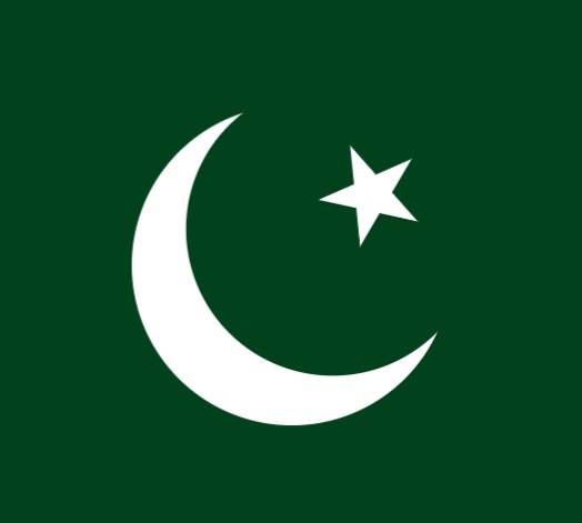 Pakistan flag large